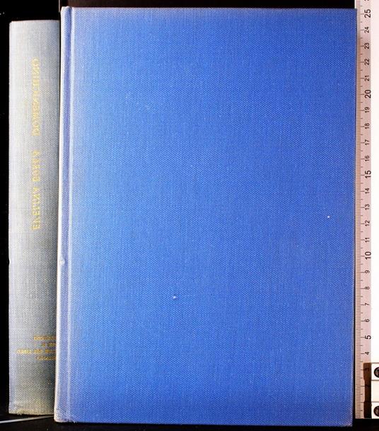 Domenichino - Evelina Borea - copertina