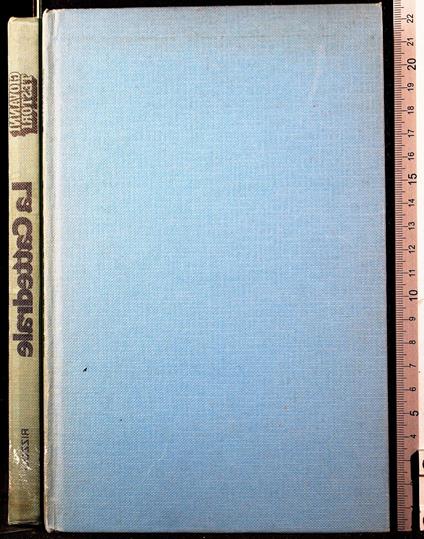 La Cattedrale - Giovanni Testori - copertina