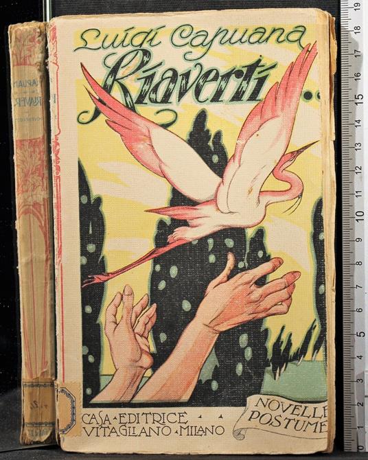 Riaverti - Luigi Capuana - copertina