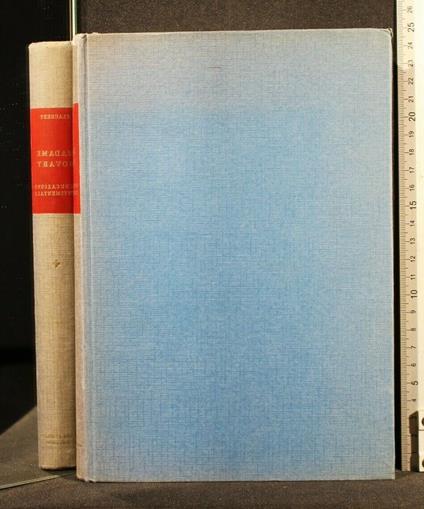 Madame Bovary L'Educazione Sentimentale - Gustave Flaubert - copertina