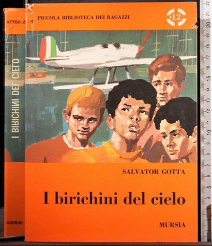 I birichini del cielo - Salvatore Gotta - copertina