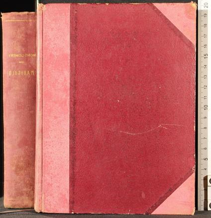 Marigold. La bimba dal cuore esultante - Florence Montgomery - copertina