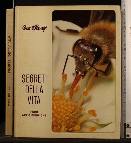 Segreti Della Vita - Walt Disney - copertina
