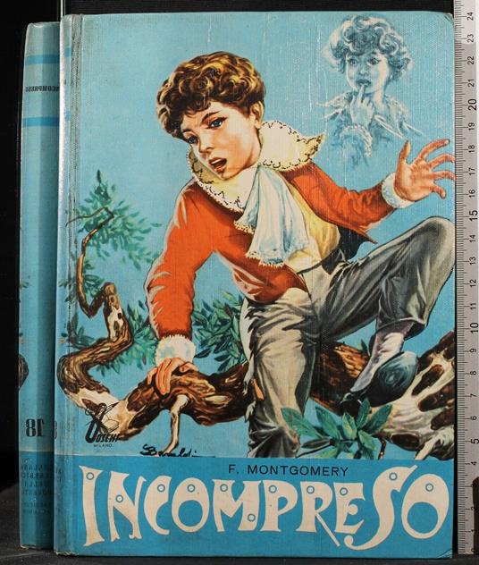 Incompreso - Florence Montgomery - copertina