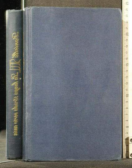 La Lunga Strada Verso Casa - Danielle Steel - copertina