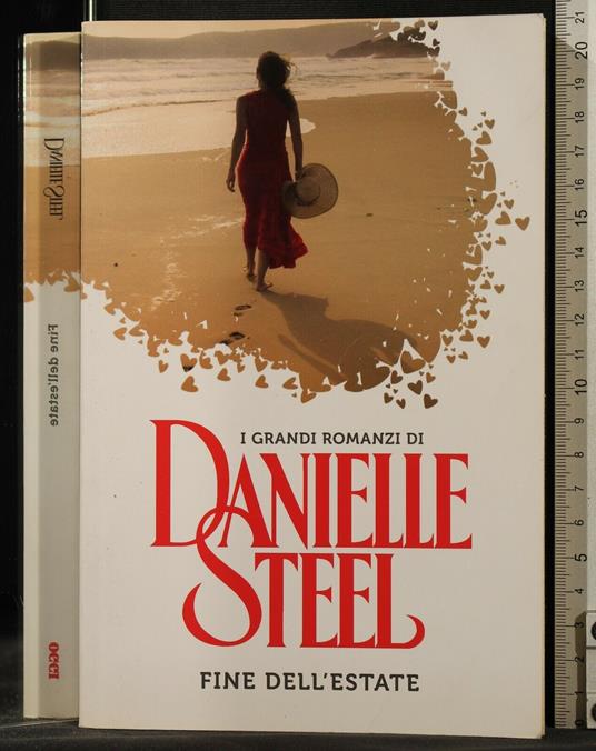 Fine - Danielle Steel - copertina
