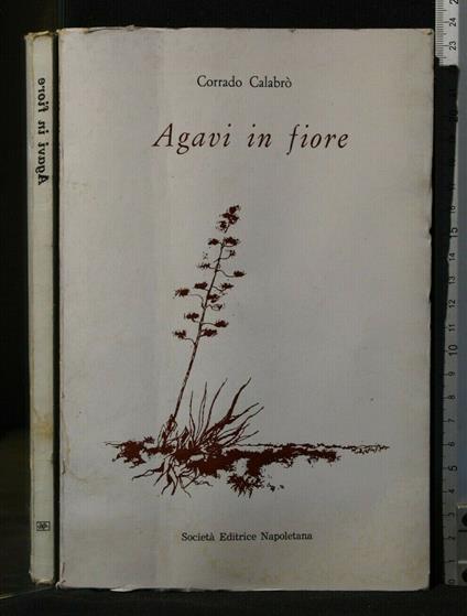 Agavi in Fiore - Corrado Calabrò - copertina