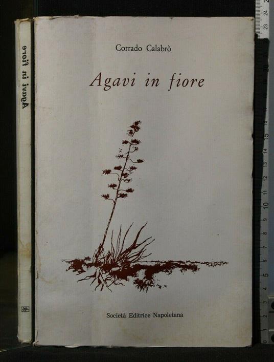 Agavi in Fiore - Corrado Calabrò - copertina