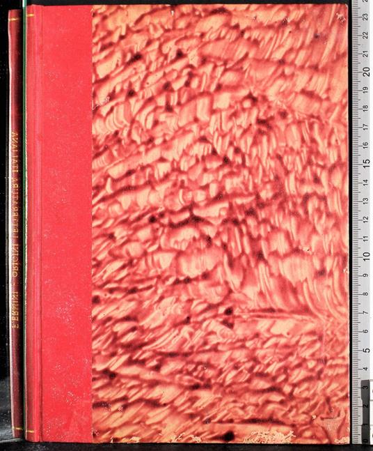 Storia letteraria italiana - Filippo Ermini - copertina