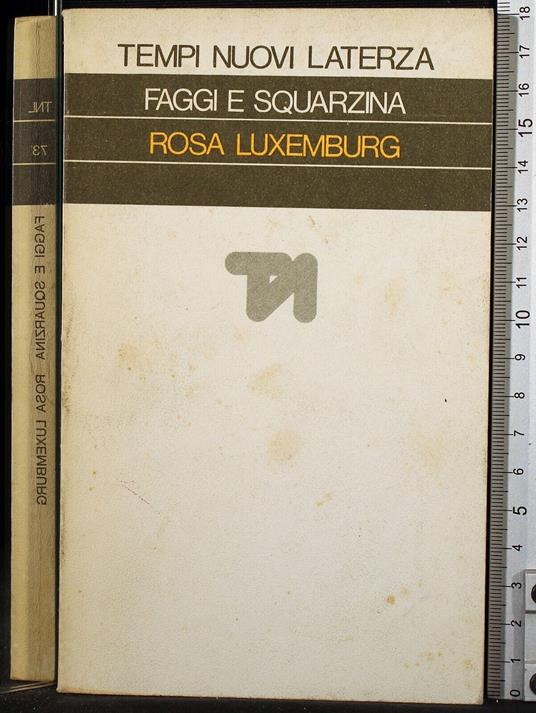 Rosa Luxemburg - Vico Faggi - copertina