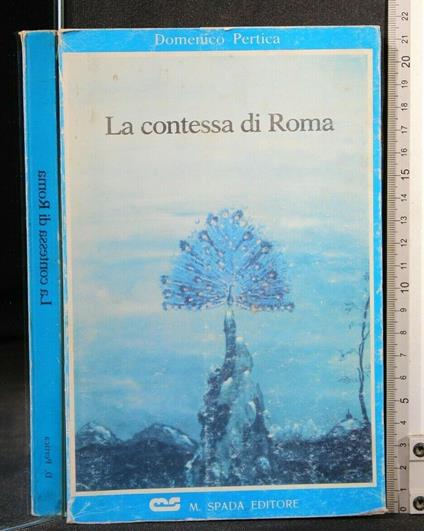 La Contessa di Roma - Domenico Pertica - copertina