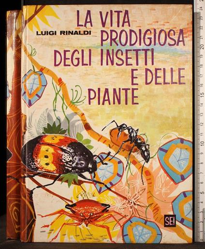 La vita prodigiosa degli insetti e delle piante - Luigi Rinaldi - copertina