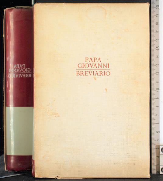 Brevario. Una pagina al giorno con il papa - Giovanni Papa - copertina