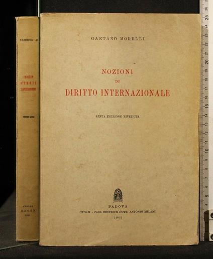 Nozione di Internazionale - Gaetano Morelli - copertina