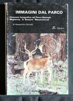 Immagini Dal Parco Itinerario Fotografico Nel Parco Naturale
