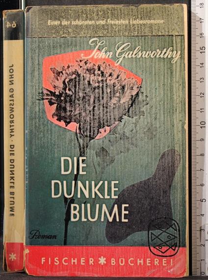 Die dunkle blume - John Galsworthy - copertina