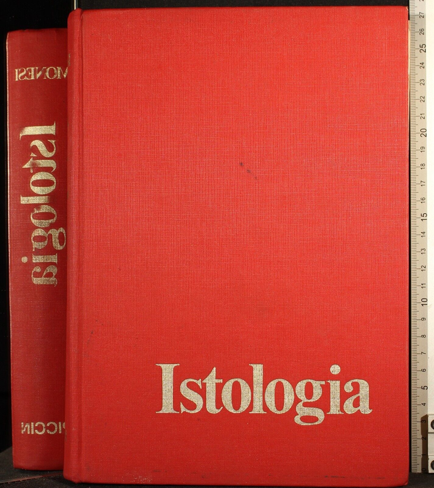 Cartarum