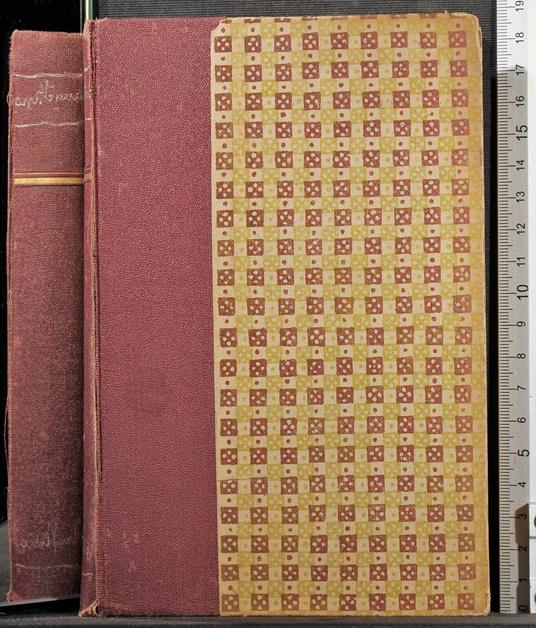 Oltre l'odio - Flavia Steno - copertina