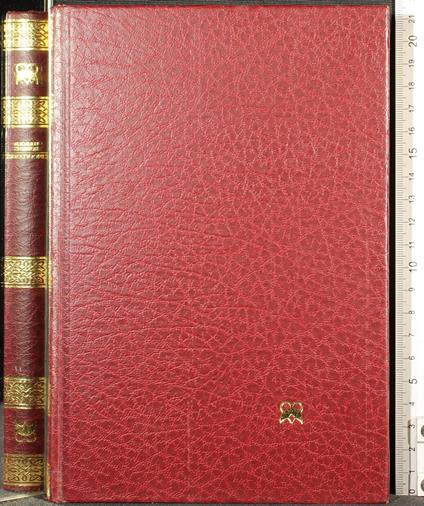 L' incantatore - Harold Robbins - copertina