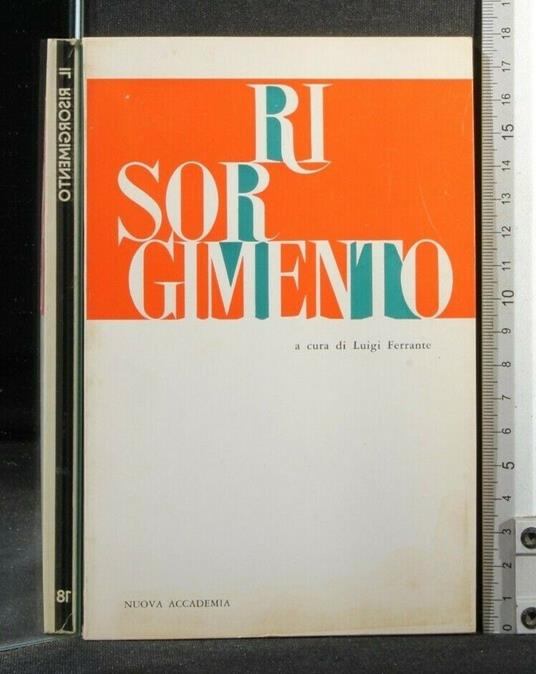 Risorgimento - Luigi Ferrante - copertina