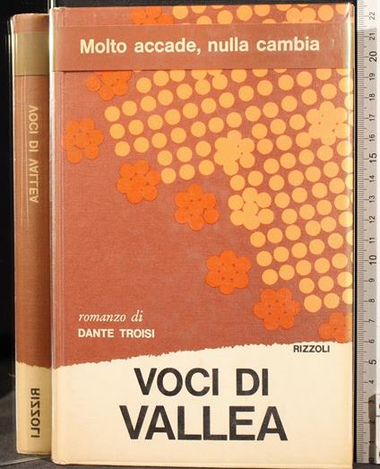 Voci di Vallea - Dante Troisi - copertina