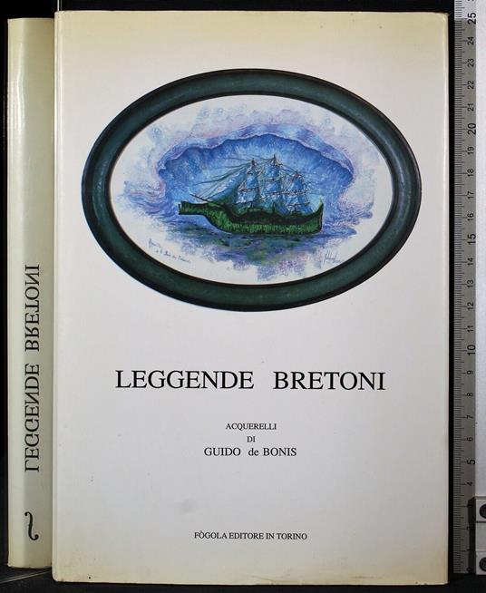 Stranger to the ground - Richard Bach - copertina