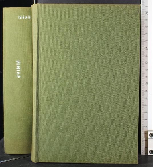 L' assiro - Nicholas Guild - copertina