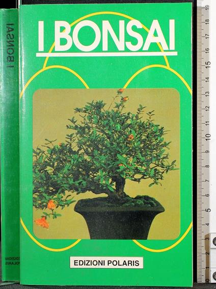 I bonsai - Pierantonio Ambrosi - copertina