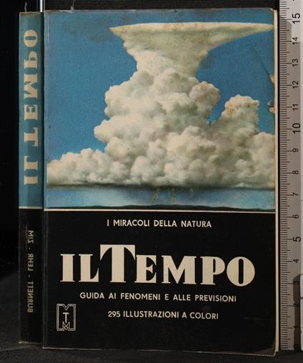 Il - Allison L. Burnett - copertina