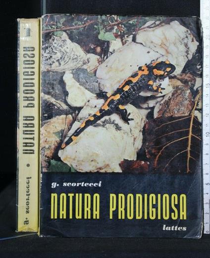 Natura Prodigiosa - Giuseppe Scortecci - copertina