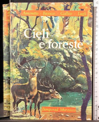 Cieli e foreste - Cieli e foreste di: Aimonetto - copertina