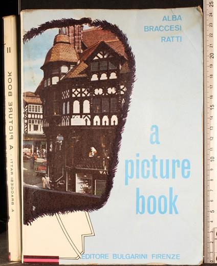 A picture book Vol II - picture book Vol II di: Alba Braccesi Ratti - copertina
