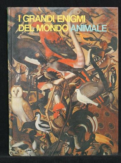 I Grandi Enigmi Del Mondo Animale Gli Uccelli - Grandi Enigmi Del Mondo Animale Gli Uccelli di: Albert Demazière - copertina