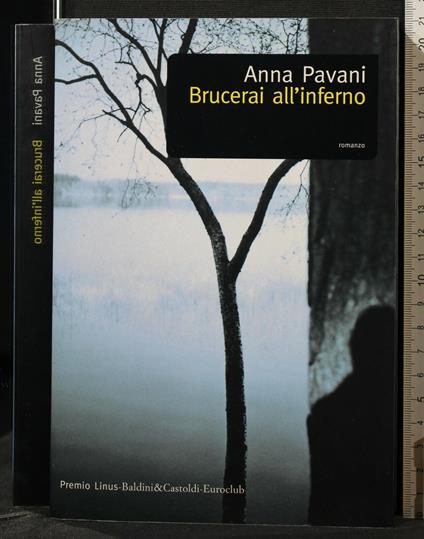 Brucerai All'Inferno - Brucerai All'Inferno di: Anna Pavani - copertina