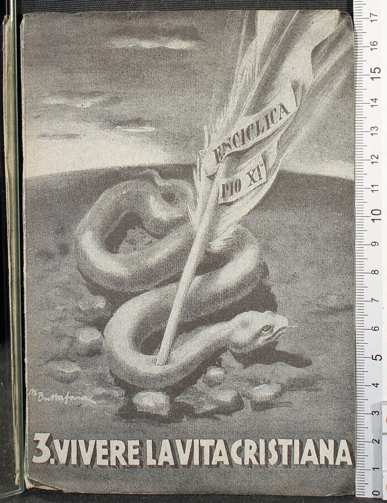 Cartarum