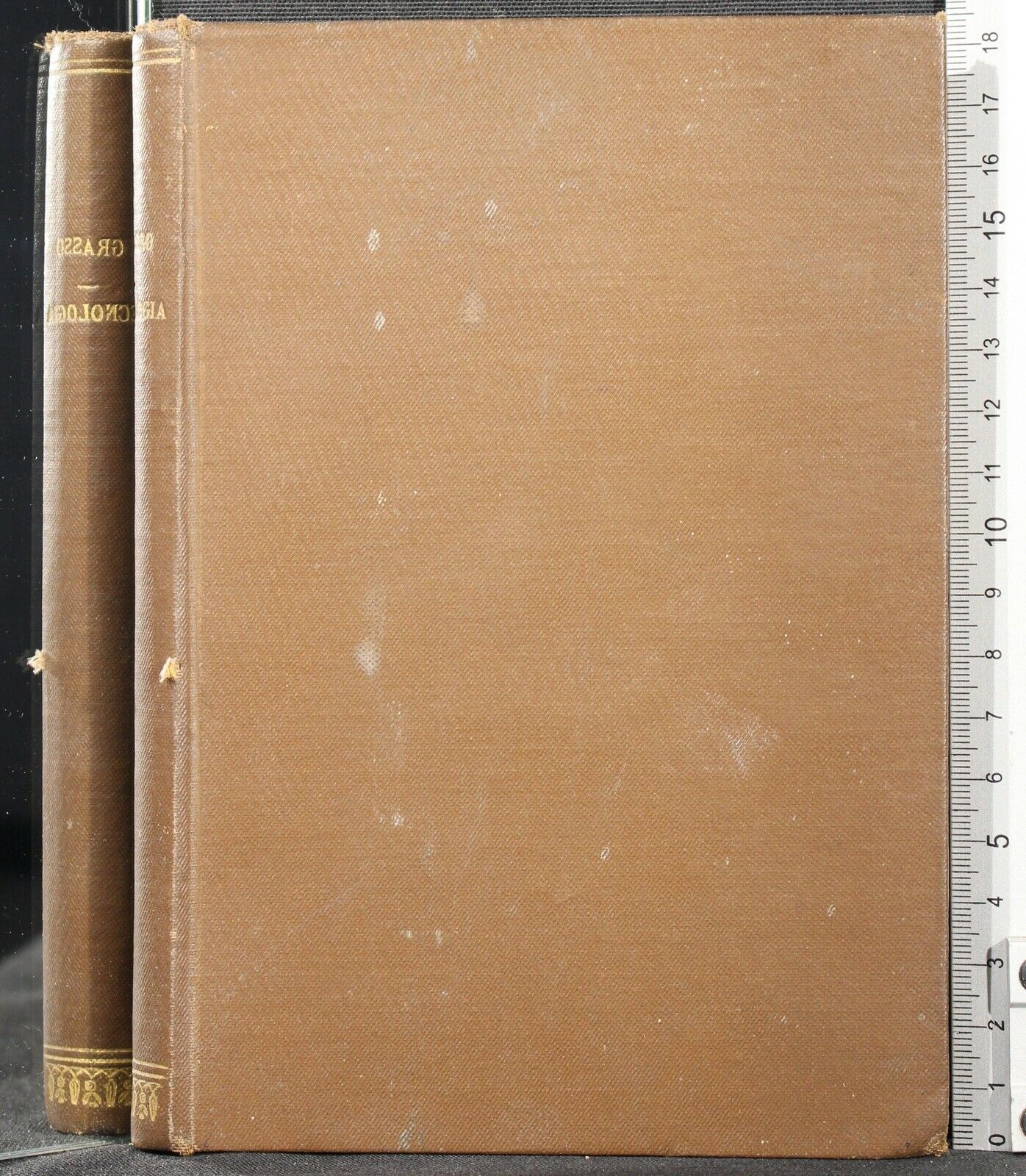 Cartarum