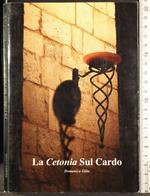 La vetonia sul Cardo