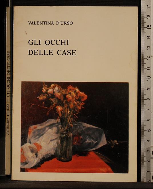 Gli occhi delle case - occhi delle case di: D'Urso - copertina