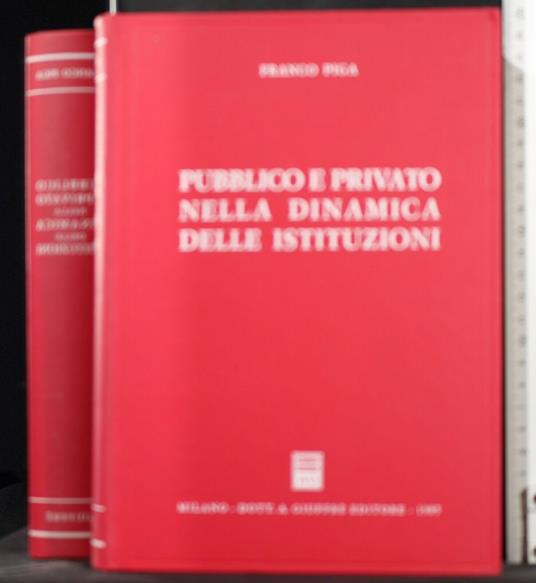 Pubblico e Privato Nella Dinamica Delle - Pubblico e Privato Nella Dinamica Delle di: Franci Piga - copertina