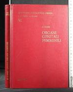 Anatomia Patologica Umana Organi Genitali Femminili Volume 6