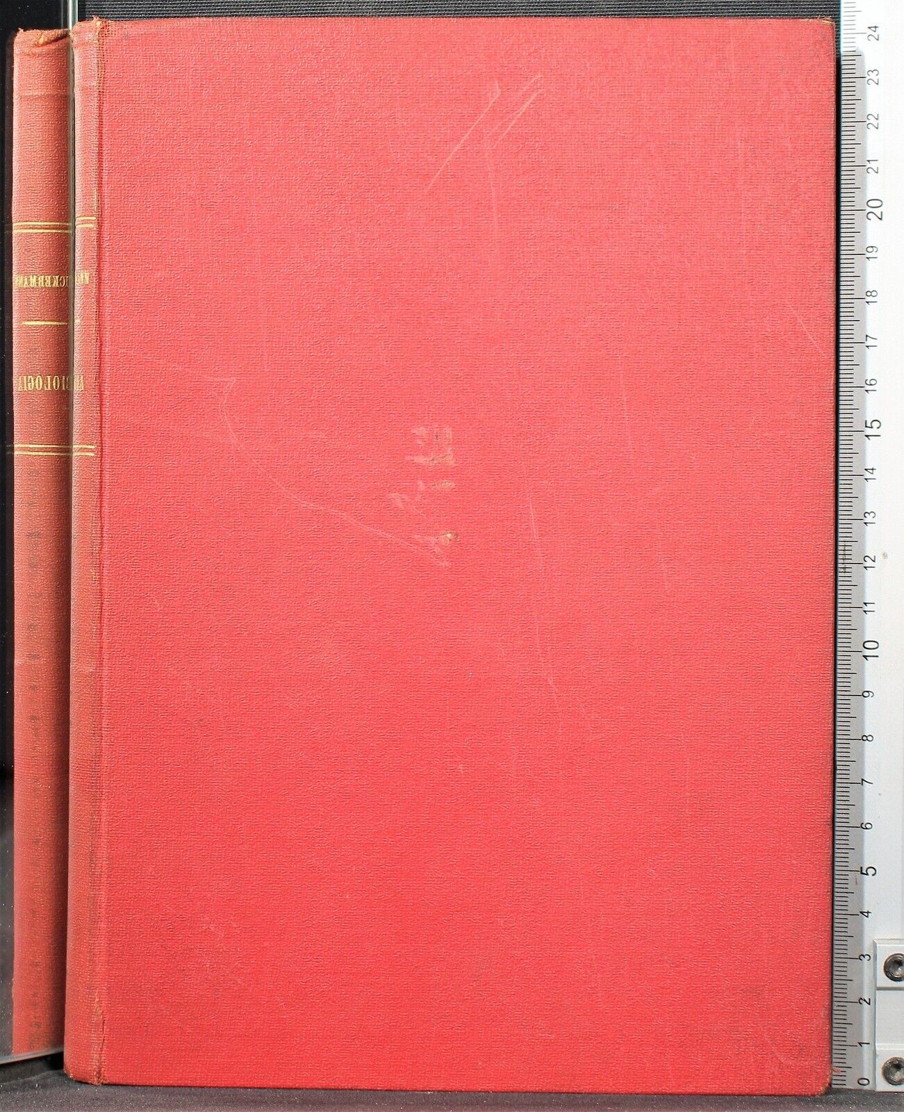 Cartarum