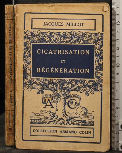 Cicatrisation Et - Cicatrisation Et di: Jacques Millot - copertina