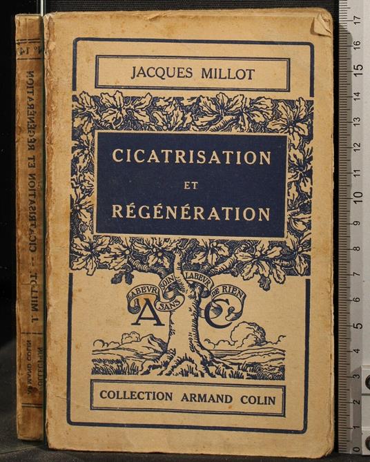 Cicatrisation Et - Cicatrisation Et di: Jacques Millot - copertina