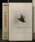 Il Pettirosso
