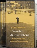 Voorbij de Blauwbrug