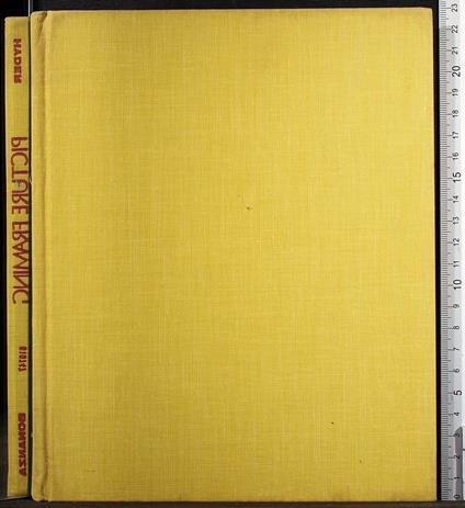 Picture Framing - Picture Framing di: Max Hyder - copertina