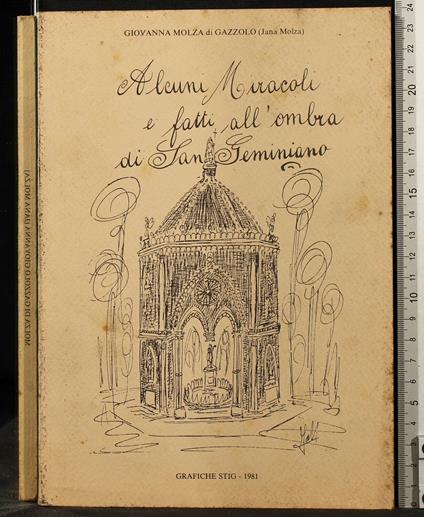 Alcuni Miracoli e Fatti All'Ombra di San - Alcuni Miracoli e Fatti All'Ombra di San di: Molza di Gazzolo - copertina