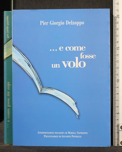 E Come Fosse Un Volo - E Come Fosse Un Volo di: Pier Giorgio Delzoppo - copertina