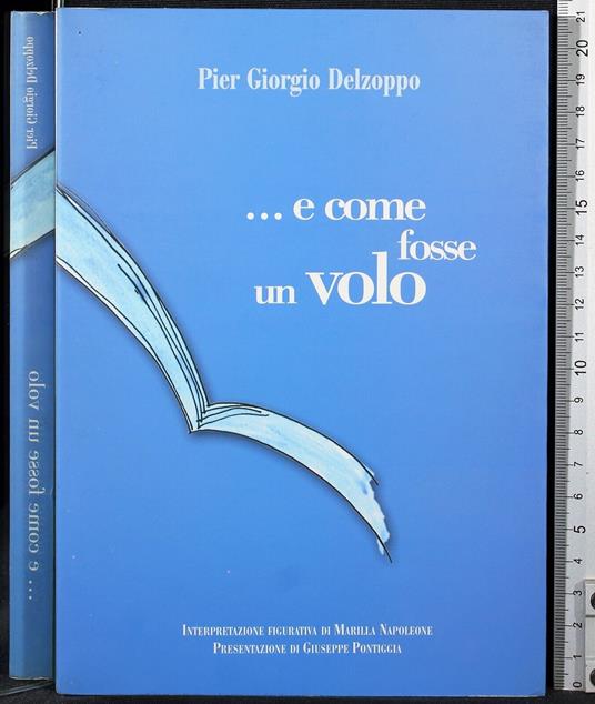 e come fosse un volo - e come fosse un volo di: Pier Giorgio Delzoppo - copertina