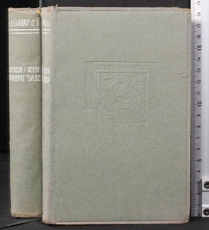 Verso i boschi senz'ombra - Verso i boschi senz'ombra di: Rosolino Davy Gabrielli - copertina